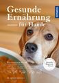 Gesunde Ernährung für Hunde Fertigfutter oder selbstgemacht - gesundes Futter fü