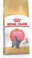 3182550816533 Royal Canin British Shorthair Kitten Katzen-Trockenfutter 2 kg Gef
