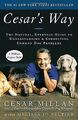 Cesar's Way: The Natural, Everyday Guide to Underst... | Buch | Zustand sehr gut