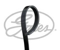 Keilriemen,mehrrippig EPDM (Ethylen-Propylen-Dien-Kautschuk) 4PK703 GATES