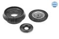 MEYLE 16-14 641 0002/S Reparatursatz, Federbeinstützlager für RENAULT