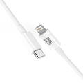 USB-C zu 8-Pin Kabel für Apple iPhone, iPad - silber - 0,5m - 3m