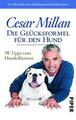 Die Glücksformel für den Hund - Cesar Millan - UNGELESEN