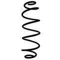 Fahrwerksfeder Hinterachse Schraubenfeder Ø164mm SPIDAN für u.a. CITROËN C4
