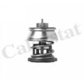 CALORSTAT by Vernet Thermostat für BMW 1 3 MINI Mini X3 X4 5 2 4 X5 Clubman X1 