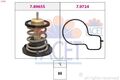 FACET (7.8965) Thermostat Kühlmittel für SEAT SKODA VW