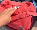 lacoste pullover xl