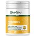 AniForte Probiotikum für Hunde - Probiotika für Verdauung & Magen Probleme