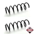 2x Fahrwerksfeder Ashika ZCA5421C 2 Federn Satz Federnsatz für Peugeot
