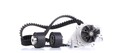 DOLZ KD007 Wasserpumpe + Zahnriemensatz für FIAT Scudo Kastenwagen (220)