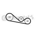 CONTINENTAL CTAM Keilrippenriemensatz  u.a. für AUDI, SKODA, VW