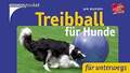 Treibball für Hunde: Für unterwegs Nijboer, Jan Buch
