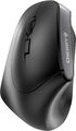 Kabellose Maus CHERRY MW 4500 LEFE ergonomische Linkshändermaus JW-4550/00 (L)