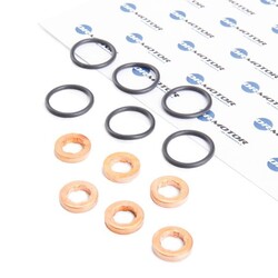 DR.MOTOR AUTOMOTIVE DRM055S Dichtungssatz Einspritzdüse für AUDI A8 (4D2, 4D8)