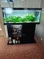 Aquarium Komplett-Set mit Unterschrank, Pumpe und Zubehör Maße 100x40x40cm