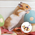  2 Sets Ratten Geschirr Mit Leine Kleines Haustierkabelbaum Hamsterzubehör