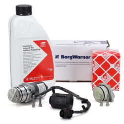 BORGWARNER Pumpe Haldex Vorladepumpe Ölfilter + 1L Öl für VW GOLF 6 PASSAT B7
