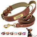 Personalisiert Hundehalsband mit Namen Gravur Lederhalsband und Leine Gepolstert