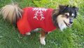 Kleid f. Hunde, Hundejacke, Winterbekleidung warm, Pullover,  Winterjacke