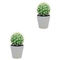  2 Count Kaktus Künstlich Künstliche Topfpflanze Falsche Pflanzen