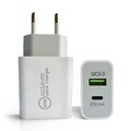 20W Dual Power Adapter: USB-C & USB-A Ladegerät