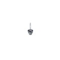 Glühlampe Fernscheinwerfer Bosch 1987302904 Xenon Hid Ws für Bmw Daf Fiat Iveco