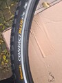 1 Continental Contact Plus Fahrrad Reifen 47-622 / 28 x 1,75 Pannenschutz NEU