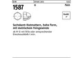 Reyher Sechskanthutmutter DIN 1587 M 10 x 1 SW 17 6 hohe Form Feingewinde
