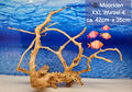 Moorwurzel - Spiderwood XXL Aquarium Wurzel