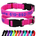 Personalisiert Hundehalsband mit Name Telefonnummer Bestickt Nylon Reflektierend