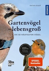 Gartenvögel lebensgroß (Mängelexemplar)|Daniela Strauß|Broschiertes Buch|Deutsch