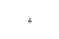 Glühlampe Fernscheinwerfer Pure Light WS BOSCH 1 987 302 011 H1 für VW FORD OPEL