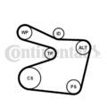 Keilrippenriemensatz Continental CTAM 6PK1555K1 für BMW