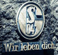 2x VIP Tickets LaOla Club Schalke 04 vs Hansa Rostock