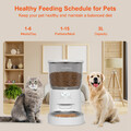 3L Automatischer Futterspender Futterautomat Pet Feeder mit Timer Katze & Hunde