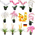 Künstliche Orchidee Kunstpflanze Pflanze mit Topf  Decovego 30-90cm in Farbwahl