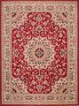 Teppich Orient Perser Rot Kurzflor 80x150 120x170 160x230 200x300 300x400 XXL