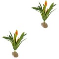  Set of 2 Künstliche Aquariumpflanzen Aquarienpflanzen Wassertank -Zubehör