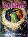 WORLD OF WILDLIFE Nr. 112 AUSTRALIEN Raubvögel PAPAGEIEN Kakadu Orbis 1977