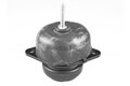 TEDGUM TED61733 Mounting, engine for FORD USA