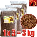 Ambiopet Mehlwürmer getrocknet 3x1kg Nager Vögel Reptilien Fisch Koifutter Igel