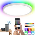 Deckenleuchte 24W Smart Dimmbar LED RGB Farbwechsel WIFI Lampe Flur Schlafzimmer