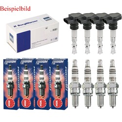 4x BERU Zündspule+4x NGK Zündkerze Iridium IX für Fiat Punto 199_ 1.4 Multi Air