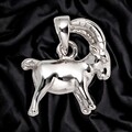 Anhänger Sternzeichen Steinbock 925 Sterling Silber Sternzeichenanhänger