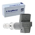 BORGWARNER (BERU) ZÜNDSPULE ZÜNDMODUL passend für VW PASSAT | ZSE065