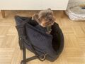 Transporttasche für Hunde und Katzen, Schultertasche