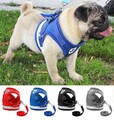 Hundegeschirr Hunde Katzen Brustgeschirr Verstellbar Gr S M L Gepolstert Nylon◇