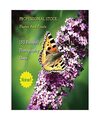 Professional Stock Photos and Prints - 150 Butterfly Photography Ideas - Full Co