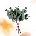 4 Pcs Künstliche Blätter Eukalyptus Baum Wohnkultur Eukalyptusblatt