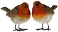 Rotkehlchen 2er Set